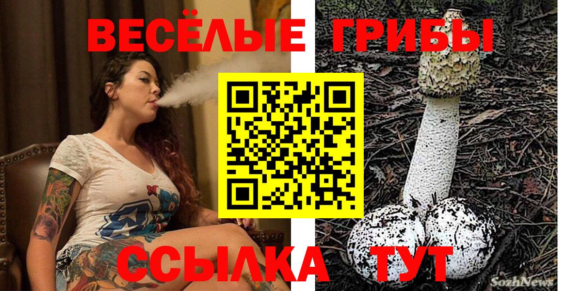 Йошкар-Ола  Псилоцибиновые грибы мицелий  Галлюциногенные грибы Psilocybine cubensis  Вход с VPN 