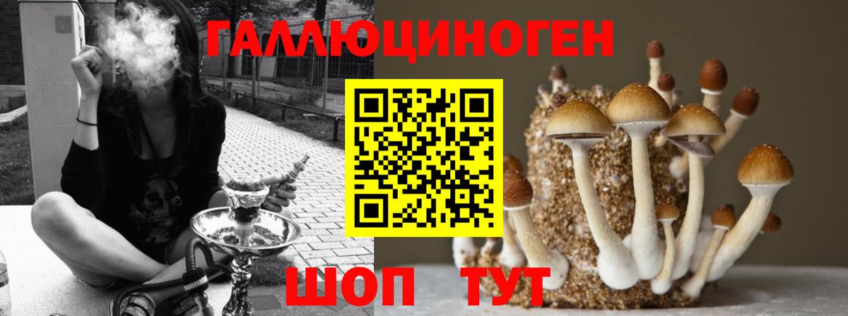 Псилоцибиновые грибы прущие грибы Йошкар-Ола